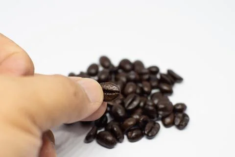 Selection of roasted coffee beans seed. Person with grains in hand. Macro. Wh Stock Photos