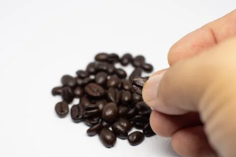 Selection of roasted coffee beans seed. Person with grains in hand. Macro. Wh Stock Photos