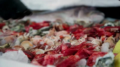 Selection of seafood Stock Footage 167700535