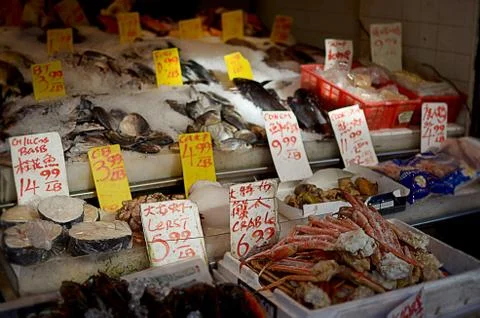 A Selection of Seafood Stock Photos