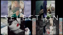 Selection Slideshow Stock After Effects