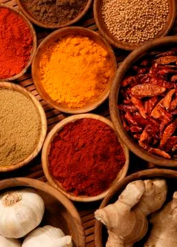 SELECTION OF SPICES Stock Photos