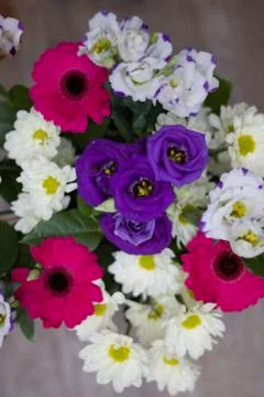 Selection of spring flowers in assorted colours of pink purple and white Stock Photos
