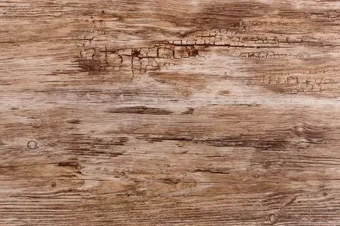 Selection of textures and backgrounds under wallpaper, tree structure Stock Photos