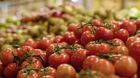 Selection of truss tomatoes on display in supermarket. Stock Footage 93262039
