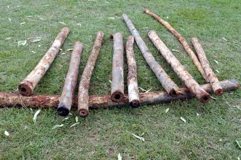 Selection of unprepared Didgeridoos on the ground Stock Photos