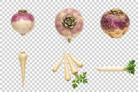 Selection of various fresh root vegetables isolated on transparent background Fotos Stock
