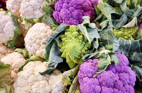 A selection of various types of cauliflower, including romanesco Stock Photos