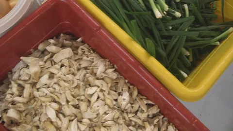 Selection of Vegetables HD Video 스톡 동영상 90299471