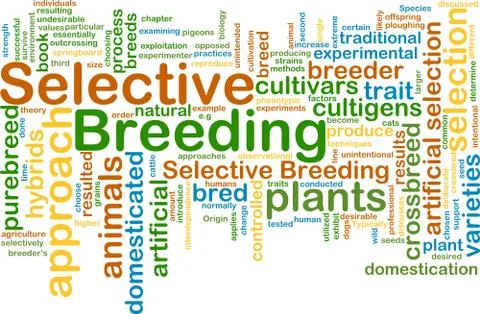 Selective breeding wordcloud concept illustration Stock Illustration