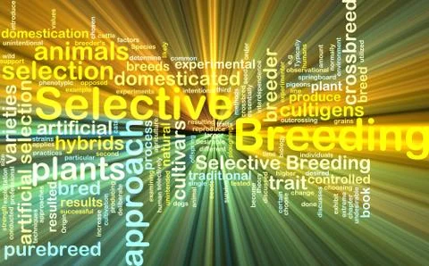 Selective breeding wordcloud concept illustration glowing Illustrazione stock