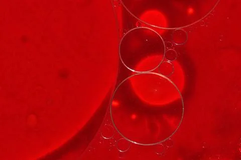 Selective close-up focus of a petri dish with blood. The concept of developing Stock Photos