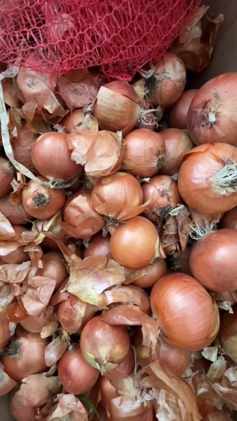 Selective focus abundance of onions in close-up Stock Footage 334327948
