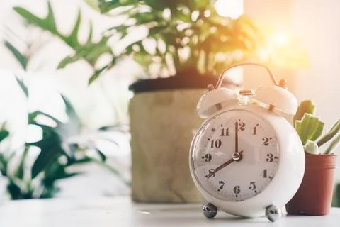 Selective focus of alarm clock show 8 o'clock or 8 a.m. on table with nature  Stock Photos