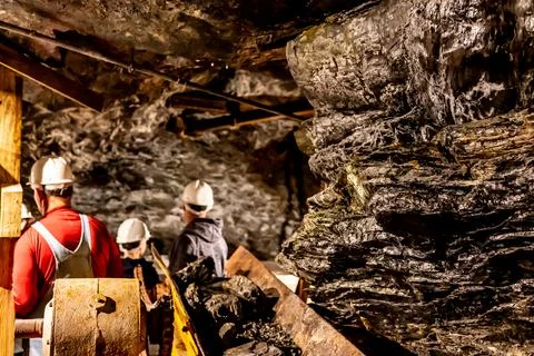 Selective focus on anthracite coal on a conveyer belt with defocused group in Stock Photos