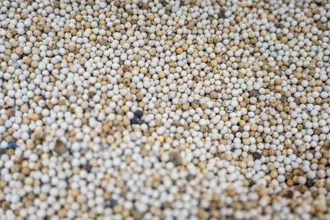 Selective focus. Background of aromatic white peper for preparing homemade food Stock Photos