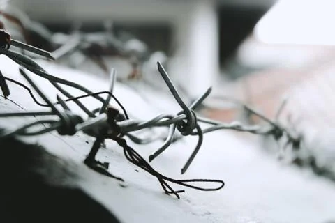 Selective focus of the barbed wire in the house fort and wall for security re Stock Photos