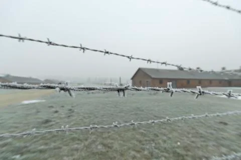 Selective focus barbed wire Stock Photos