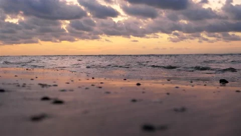 Selective focus of beach scallops at sunset during low tide 動画素材 219774820
