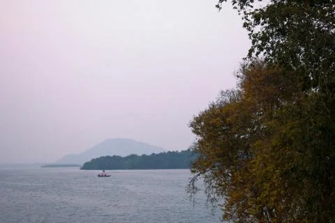 Selective focus of a beautiful reddish tree in the foreground with a lake in  Stock Photos