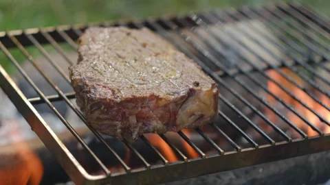 Selective focus of beef steak grilled on bonfire in nature camping at summer day Stock Footage 271627091