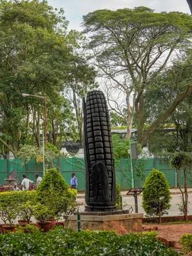 Selective focus on a big black colored corn structure in a garden Stock Photos
