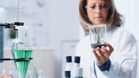 Selective focus of biologist analyzing plant samples Stock Footage 111812195