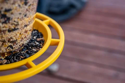 Selective focus on bird feeder with mix of seeds. Residential wooden porch in Foto stock