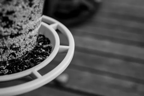 Selective focus on bird feeder with mix of seeds. Residential wooden porch in Stock Photos