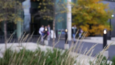 Selective Focus On The Blades Of Grass. Blurred Walking People Near Building. Stock Footage 119450790