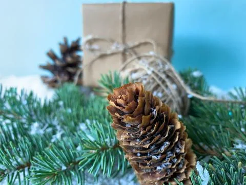 Selective focus. Branch of a spruce with pine cone covered with snow. Stock Photos