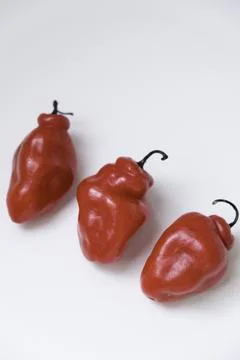 Selective focus of cabe gendot or Dieng chilli habanero, the popular chilli.. Stock Photos