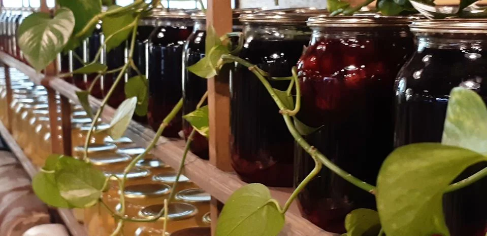 Selective focus. Canned fruit drinks in glass jars. Compote of berries in jars Stock Photos