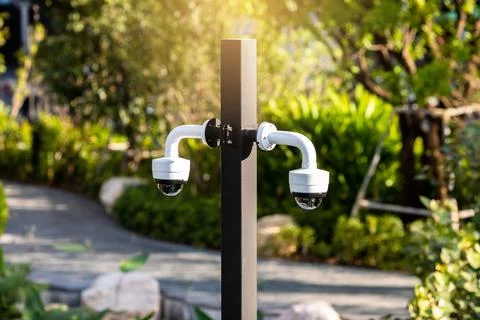 Selective focus to CCTV Camera with blurry green tree. Stock-Fotos