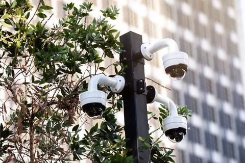 Selective focus to CCTV Camera with blurry green tree. Stock Photos