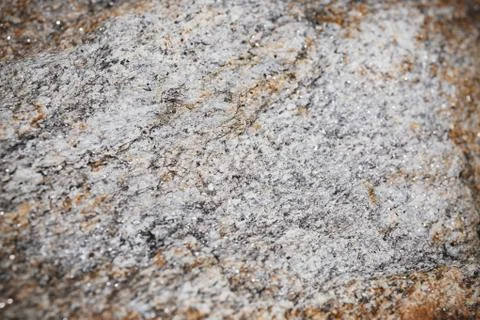 Selective focus at the center of rock surface textured. Stock Photos