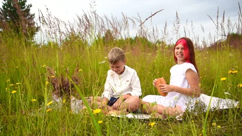 Selective focus of children a boy and a girl enjoy a picnic in nature in a field Stock Footage 135838082