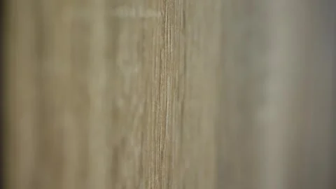 Selective focus close-up of wood texture. Furniture veneered chipboard.  Stock Footage 262251288