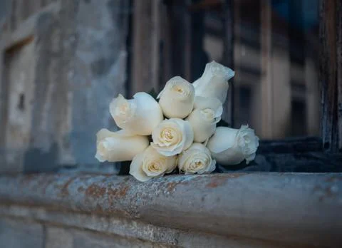 Selective focus closeup shot of white roses near a window Foto stock
