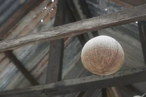 Selective focus of coconut coir or shell hanging. Stock Photos