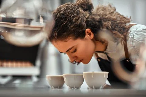 Selective focus of coffee shop workers checking coffee quality during coffee  Stock Photos
