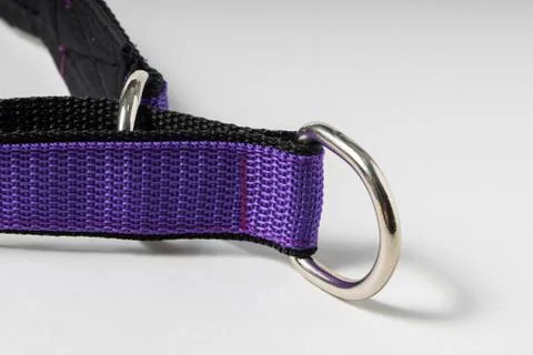 Selective focus, collar for large dogs Stock Photos