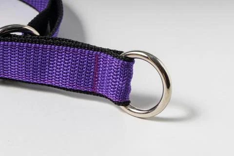 Selective focus, collar for large dogs Stock Photos