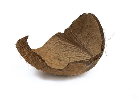 Selective focus cracked coconut shell against isolated on white background Stock Photos