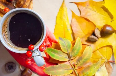Selective focus cup of coffee on background of autumn leaves. Foto stock