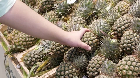 Selective focus to customer's hand while select choose fresh pineapple in s.. Stock Footage 278388344