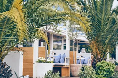 Selective focus on date palms in the foreground. A restaurant with soft sofas Stock Photos