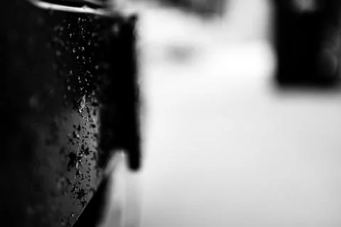 Selective focus on dead bugs splattered to the front grill and plates of a Stock Photos