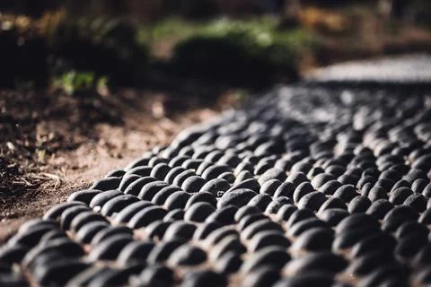 Selective focus on decorative pattern of river rocks laid in garden footpath. Stock Photos