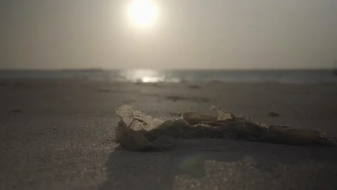 Selective focus on deteriorated piece of plastic buried in the sand on the beach Stock Footage 232804155
